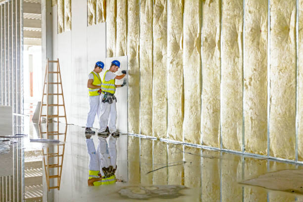 Eco-Friendly or Green Insulation Solutions